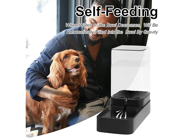 Wefeedy Automatic Cat Feeder and Water