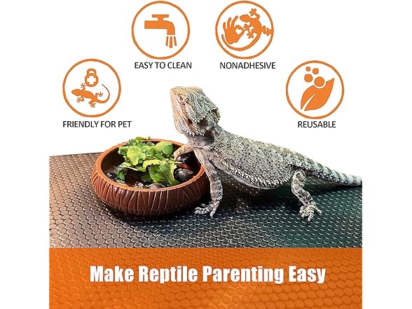 Furatune Bearded Dragon Tank Accessories