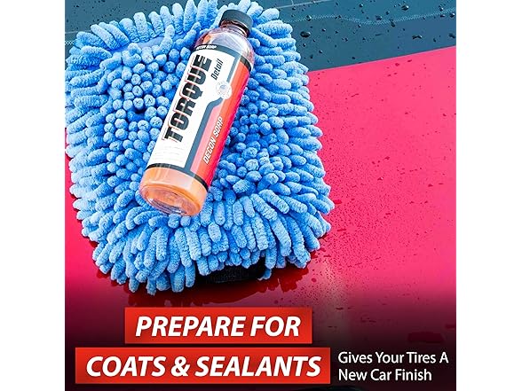 Decontamination Soap 8oz + Wash Mitt