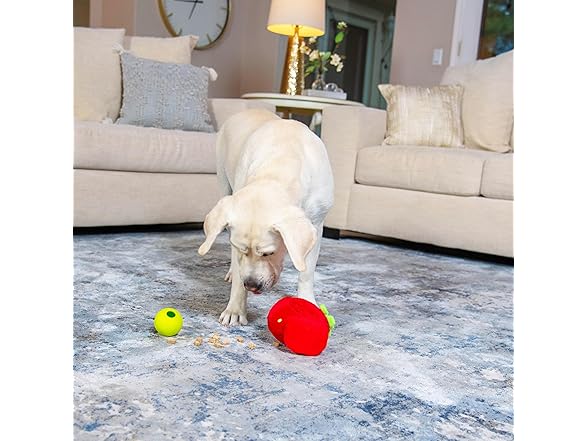 Outward Hound by Nina Ottosson Fruity Findz