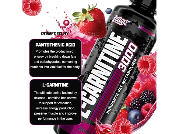 Nutrex Research L Carnitine 3000 31 Servings