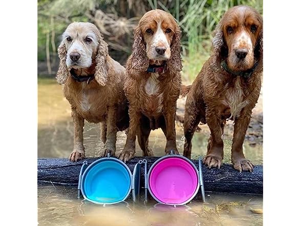 Loving Pets Bella Roma Collapsible Dog Bowls