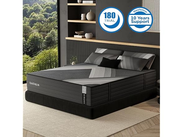 Lechepus 10Inch Queen Mattress in Box