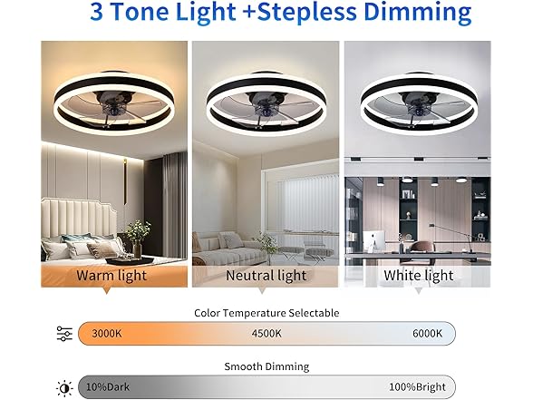 SUNCOJIA 20" Modern Flush Mount Fandelier