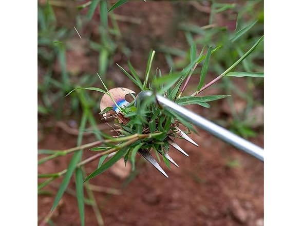 Generic Weed Puller Tool