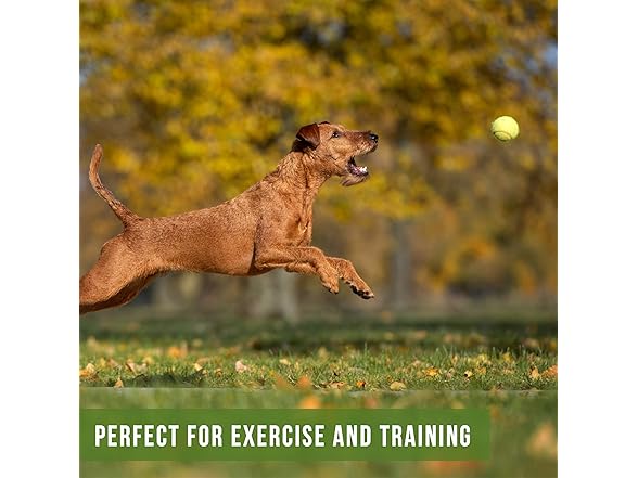 Hyper Pet Tennis Balls for Dogs; Pet Saf