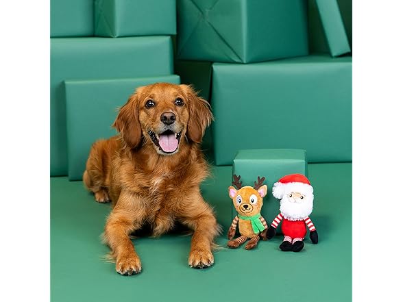 Fringe Studio Pet Toy, Friend at Frost Sight Dog Toy 2 Pk