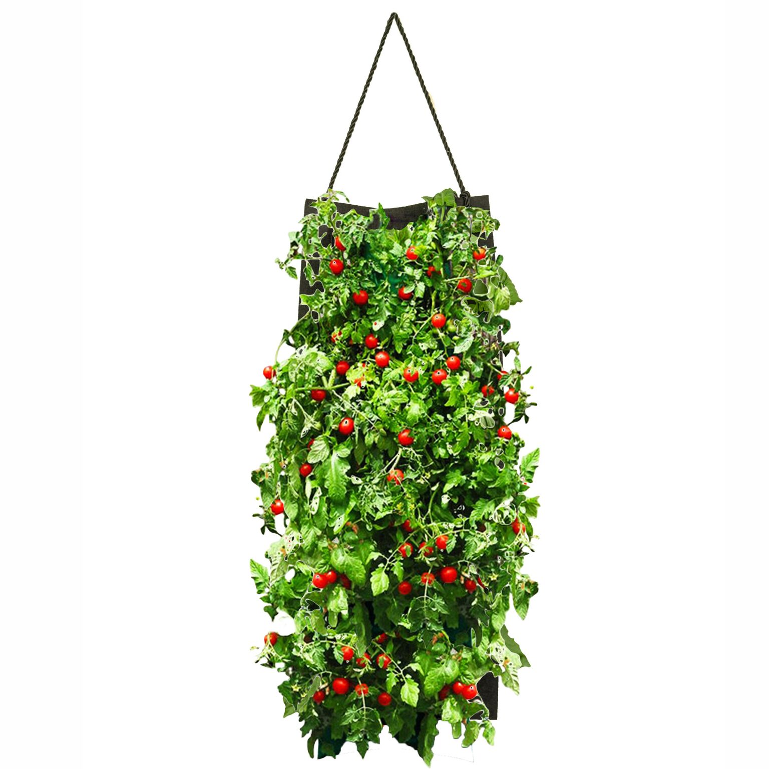 Organic Hanging Planter Bag Kit - Gallery 18