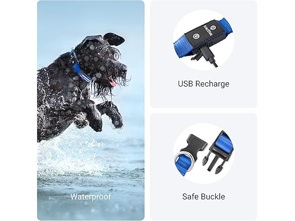 Tractive LED Light Up Dog Collar USB Rechargeable