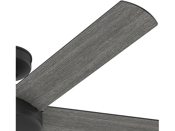 Hunter Fan 52" Ceiling Fan w/ Remote