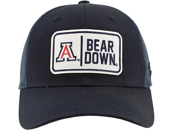 WILDCATS Snapback Big Rig Patch Team