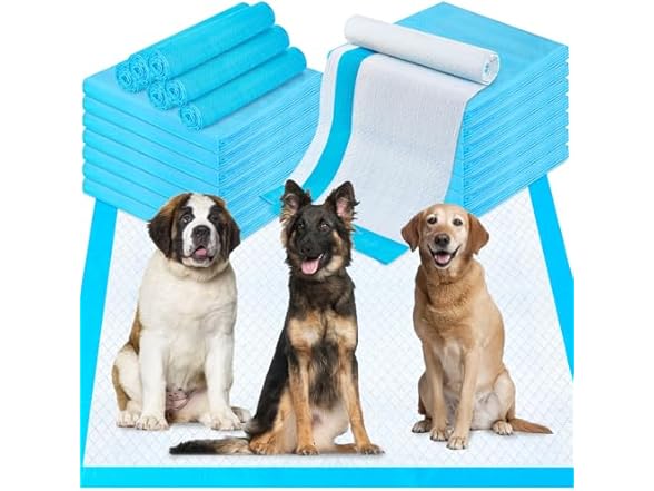 40"x40" puppy pads