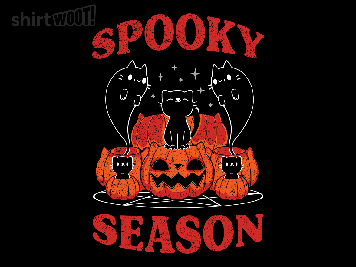 Spooky Season Cats - Gallery 9