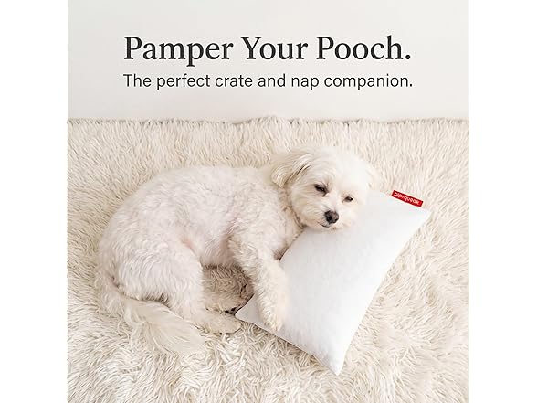2 Pack Mini Travel Pillows 11" x 7"