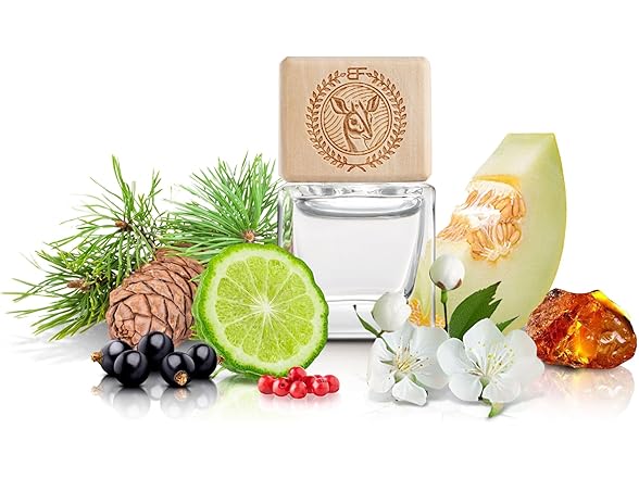 Luxury Car Air Freshener & Oil Diffuser