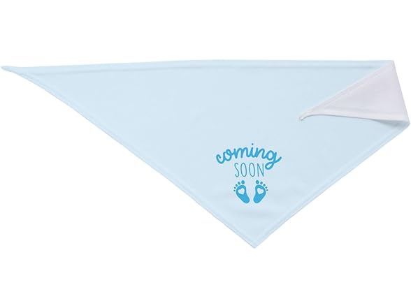 vercosee Coming Soon….Bandana Pregnancy Announcement