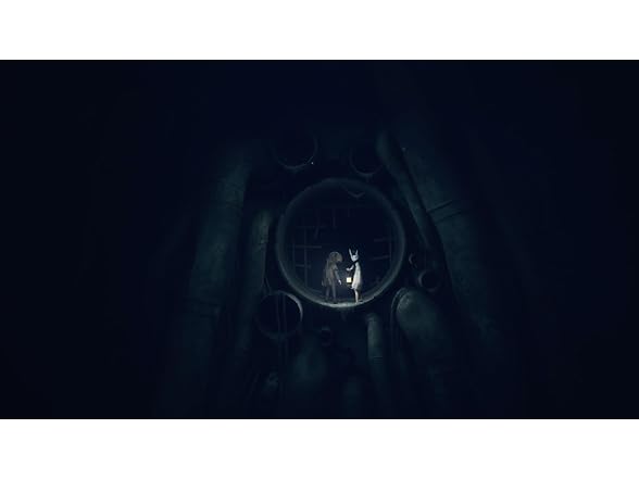 REANIMAL: Collector's Edition