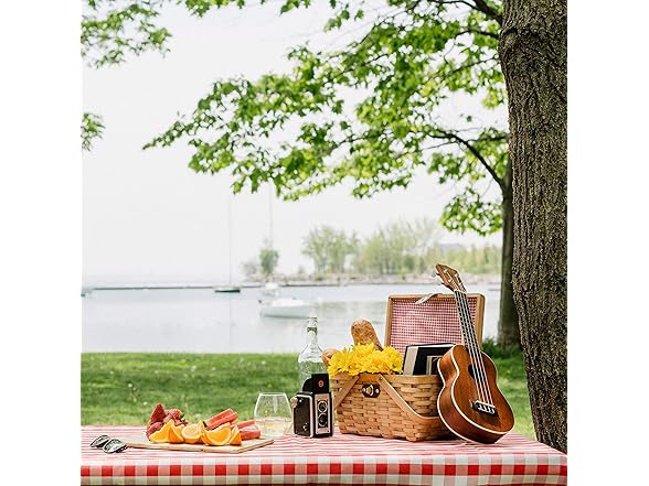 Vintiquewise Vintiquewise.com Gingham Lined Woodchip Picnic 