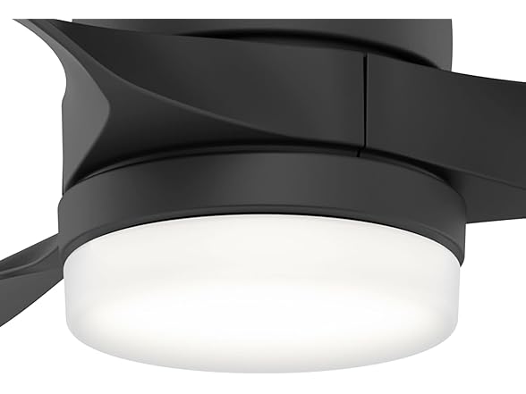 Hunter Fan 52" Matte Black Indoor/Outdoor Ceiling Fan