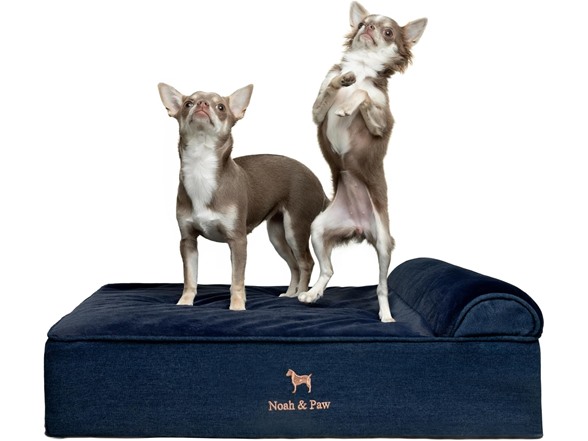 NOAH & PAW Orthopedic Dog Beds- Medium