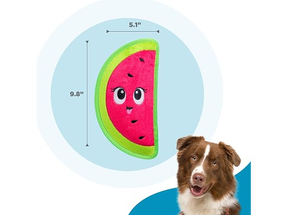Outward Hound Tough Skinz Durable Squeaky Dog