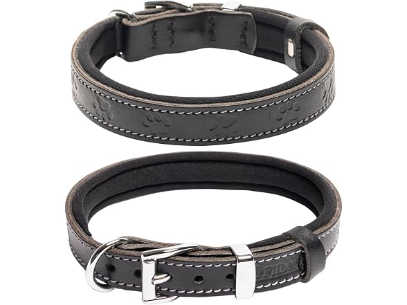 Filbert Leather Dog Collar, Genuine Leather