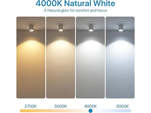 Brightever B0G3GV5WKP PAR20 LED Bulb 4-Pack