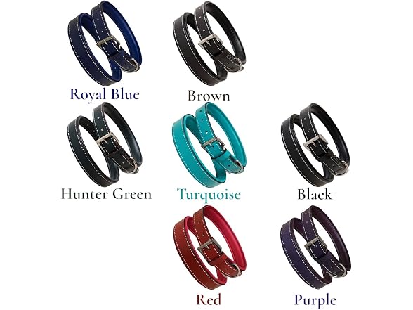 Majestic Ally Soft Leather Dog Collar, Multi