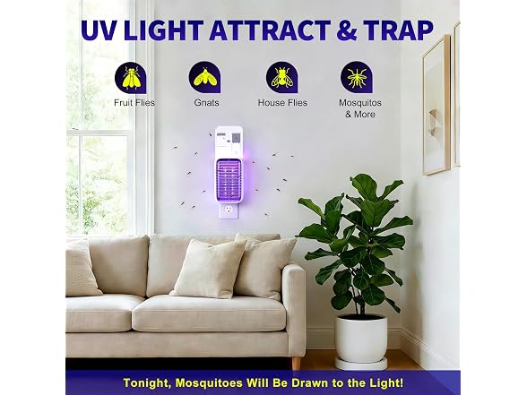 2-Pack Fruit Fly Traps UV+Glue 10 Boards