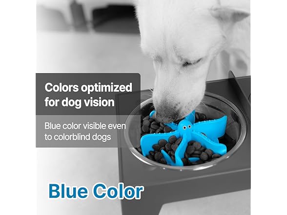 sallang D'tail Elevated Dog Bowls, Adjustable