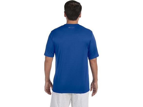 Champion Men (L) Canvas Heavyweight Crew T-Shirt