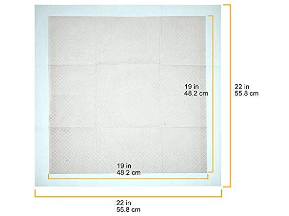 AmazonBasics Dog and Puppy Training Pads