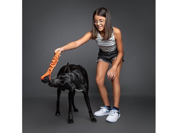 NOAH & PAW Luxury Dog Toy, TPU- Sling, Black