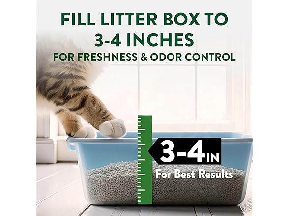 ARM & Hammer Plant Power Lightweight Plant-Based Litter