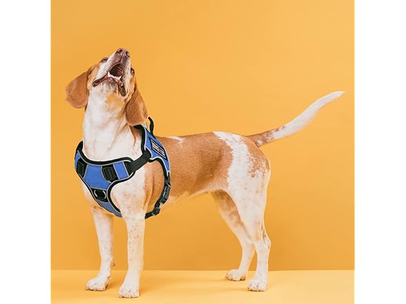 Dogline Quest No-Pull Dog Harness with 3D Rub