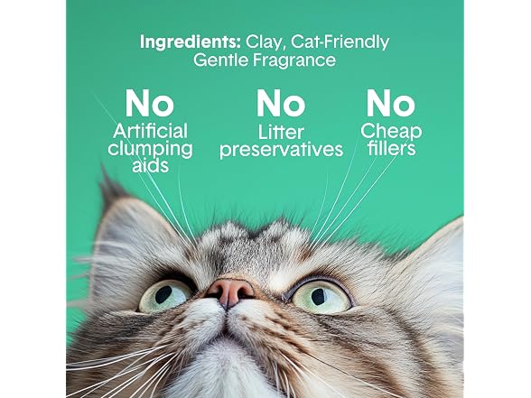 Boxiecat Gently Scented Premium Clumping Clay