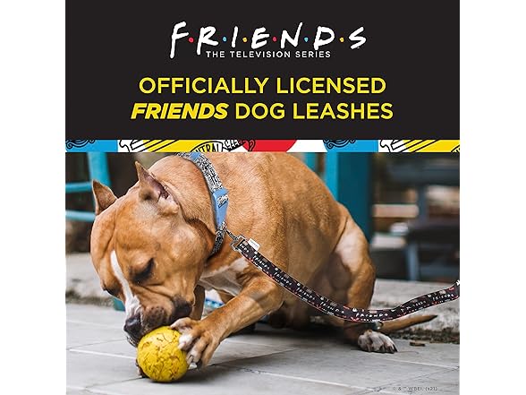 Friends TV Show City Doodle Dog Leash, 4 Ft