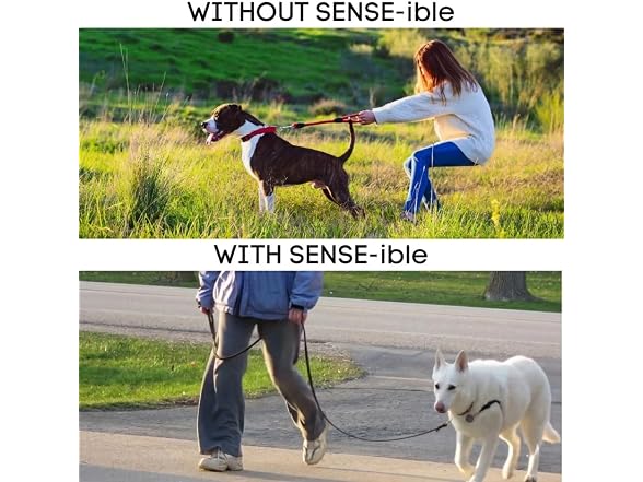 Softouch Sense-ible No-Pull Dog Harness (Red