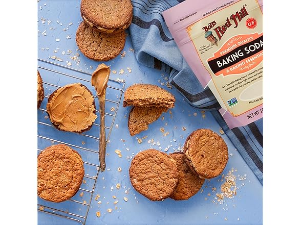 Bob's Red Mill Baking Soda, 16oz (Pack of 1)