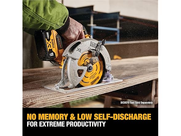 DEWALT DCB205-2 20V MAX XR 5Ah Battery 2pk