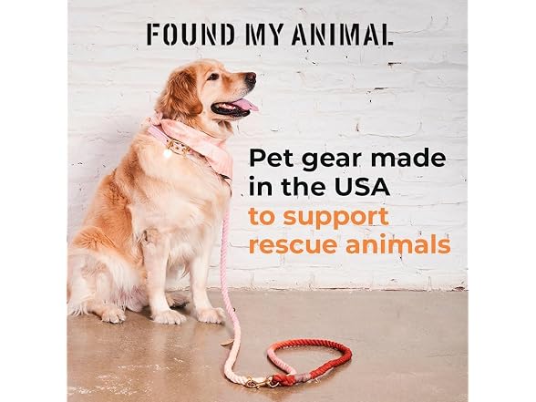 Found My Animal Durable Puppy Collar