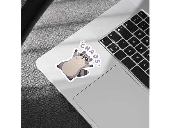 3pc Raccoon Chaos Sticker Meme