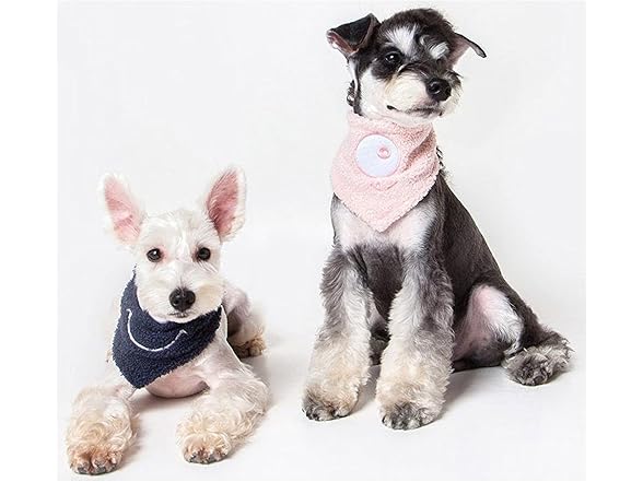 Touchdog ® 'Dizzy-Eyed Pet Bandana