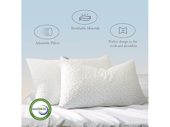 Dream Cloud Queen Pillows