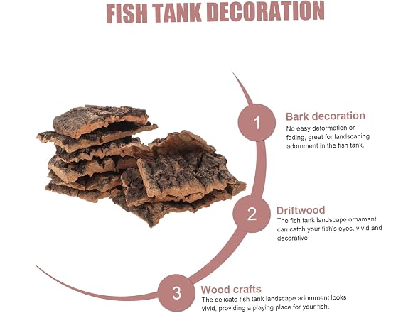 10pcs Lizards Decor Small Hide Fish Reptiles
