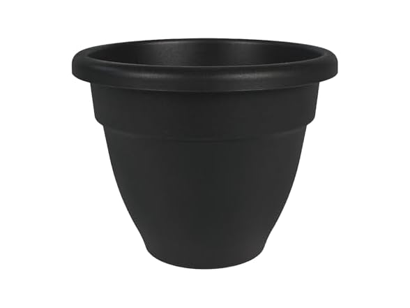 The HC Companies Caribbean Planter