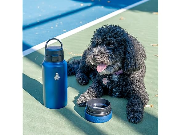 Fruit Infuser Water Bottle - Hot & Cold