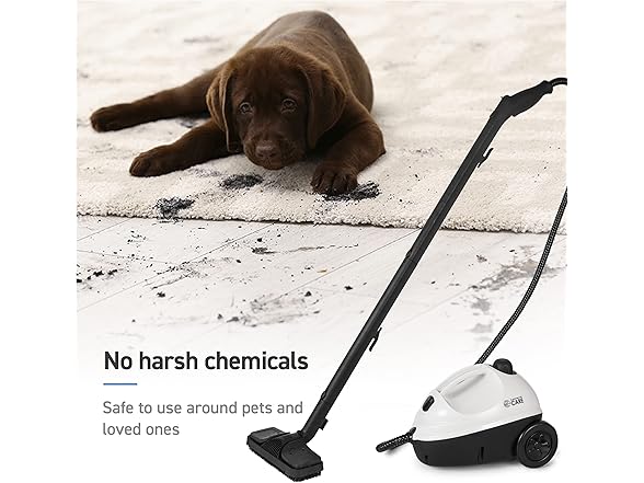 COMMERCIAL CARE Steam Cleaner