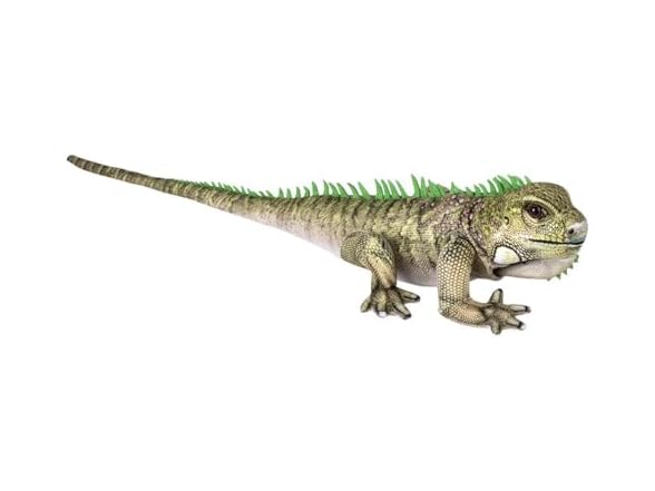 Rhode Island Novelty 19" Iguana