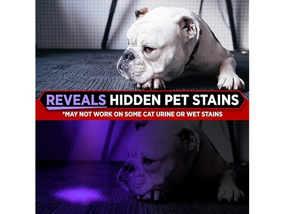 GearLight UV Flashlight Pet Stain Finder